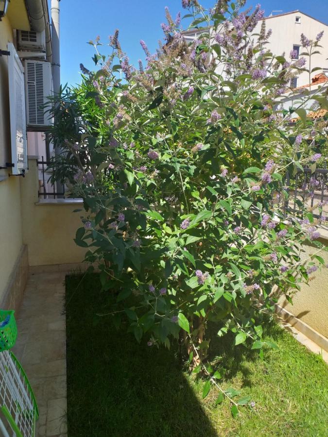 Apartman Vida Pula Exterior photo