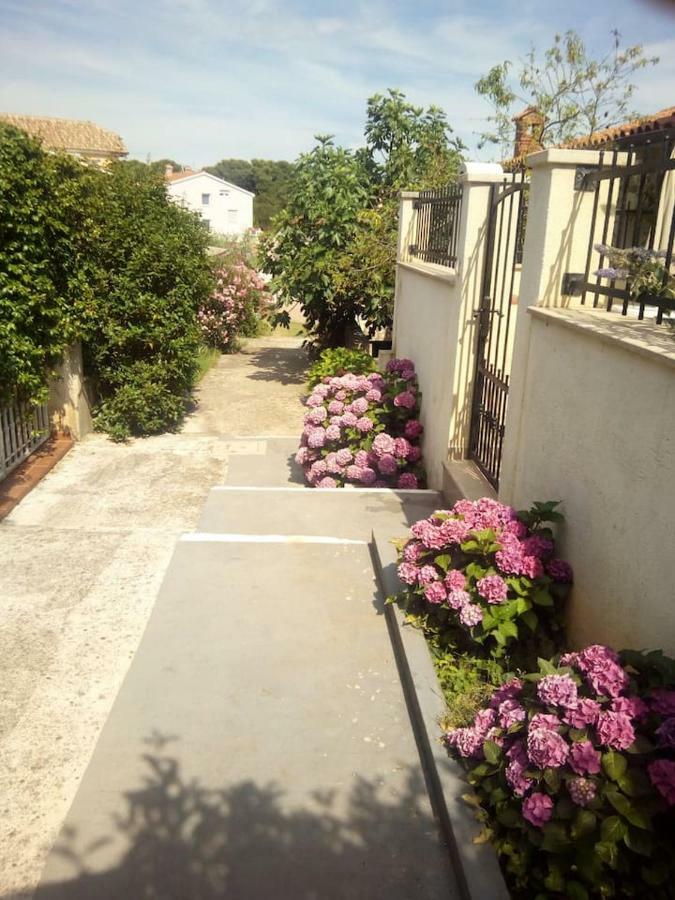 Apartman Vida Pula Exterior photo